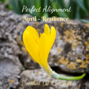 Essential Oil Clearings April 2022